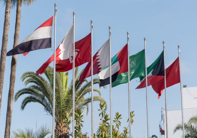 جهود دبلوماسية لإنهاء النزاعات في الشرق الأوسط